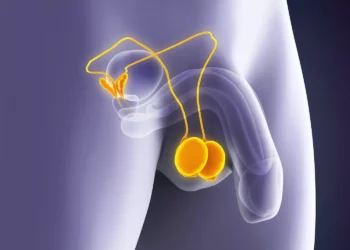 Santé masculine: cinq signaux que vos testicules vous envoient et qu&rsquo;il ne faut jamais ignorer