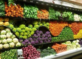 Les 7 idées business agroalimentaires à lancer dès maintenant en RDC avec un investissement minimal de 500 $