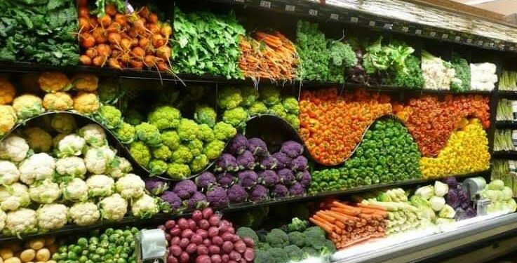 Les 7 idées business agroalimentaires à lancer dès maintenant en RDC avec un investissement minimal de 500 $