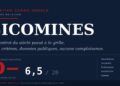 Sicomines à la Grille Notation, Pourquoi le Contrat du Siècle Plafonne à 6,5 Sur 20