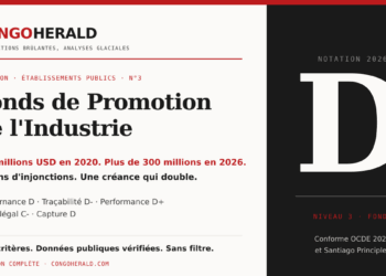 Notation Congo Herald 2026 : Fonds de Promotion de l&rsquo;Industrie Note D